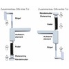Clip Clove V3 Universal Mini Door Closer in White