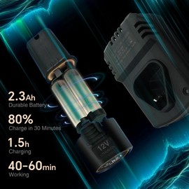 Blycorul Cordless Mini Polisher,1/1.5/2Inch,DA&RO with 11 Variable Speed 2500-6000 RPM,2.3Ah Rechargeable Battery,Red Car Detailing Micro Polisher