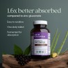 New Chapter Zinc Supplement, Fermented Zinc Complex, ONE Daily for
