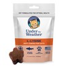 Under the Weather Pet Daily Cat L-Lysine | Boost Immune