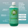 Shampoo Con Menta-Hierbabuena Efecto Refrescante Productos Mart Mexico 500 Ml