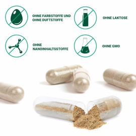 AKSES SWISS Bifilaсt Extra Probiotika Kapseln: Ergänzungsmittel für Darmflora-Aufbau und Blähbauch-Unterstützung. Probiotics für eine optimale Darmbalance.