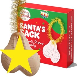 Funny Rude Christmas TreeDecoration Tree Xmas Ornament Hanging Christmas Tree Bauble Prank Prop Gag Joke Secret Santa Gift Stocking Filler Ball Balls