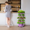 Tectsia Strawberry Vertical Planter GardenTower, 5 Tiered Stackable Planter with