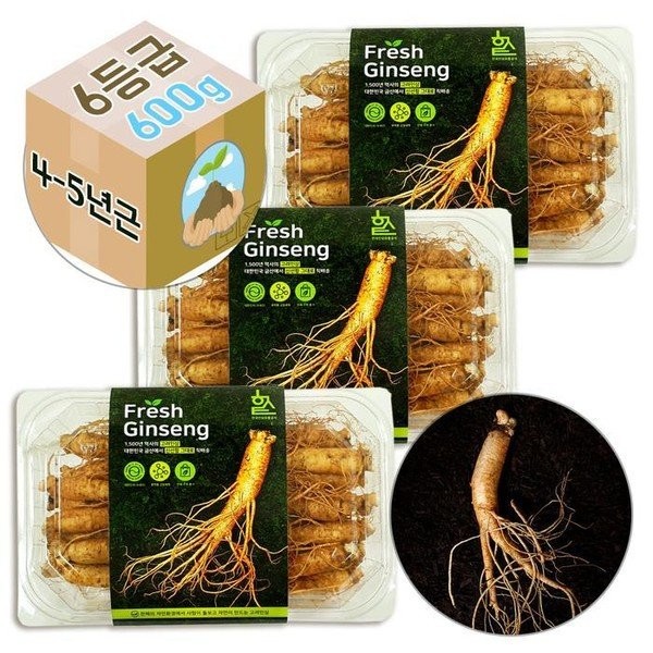 [Half Club/Good Soil] Fresh Korean ginseng, fresh ginseng, 4-5 years old, No. 6, 1800g for home use, delivered directly from the source, making it even fresher / [하프클럽/굿소일]고려 생 인삼 수삼 4-5년근 6호 가정용 1800g, 산지직송으로 더욱 신선하게