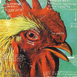 Watery, Domestic by PAVEMENT [Vinyl]