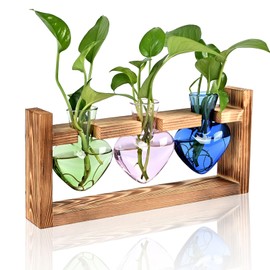 Plant Terrarium Propagation Stations Hydroponics Home Garden Decoration Gift for Women with Wooden Stand Heart Shaped Colored Glass Vase