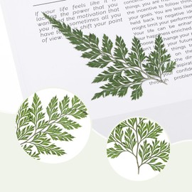 M METERXITY 12-Pack Pressed Dried Flowers Leaves, Real Natural Ferns Dried Leaves, Plant Dried Greenery for Resin Art Arrangements Home Wedding DIY Crafts Decors Card Scrapbooking