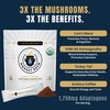 Monkey Brew Rise & Focus USDA Organic Mushroom Coffee |