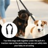 Adjustable Double Pet Trainer Leash - No Tangle Dog Walking