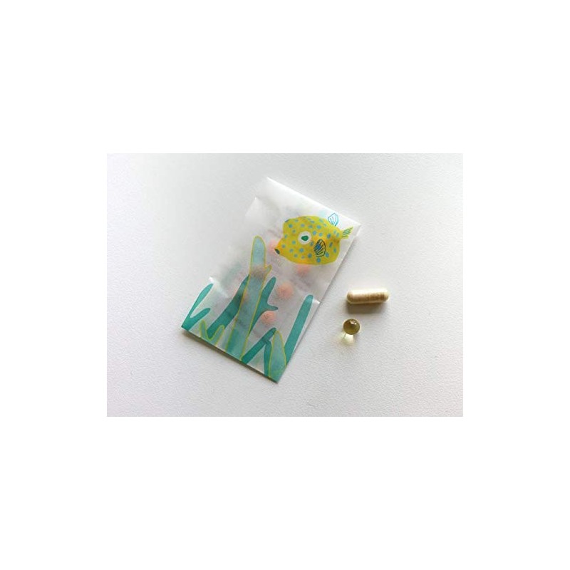 Replug B02-295 Glassine Paper Pochi Bag, Sea, Rectangular,