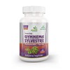 Ayushya Gymnema Sylvestre (Madhunaashini) Capsule, 500 mg Pure Extract, 60
