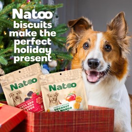 NATOO Dog Biscuits for Small Dogs - Crunchy Dog Treats - Coconut & Mango – Healthy Natural Dog Biscuits, Rich in Omega 6, Prebiotics & Fibers, Antioxidants for Immunity (Puppies & Small Dogs, 8 oz)