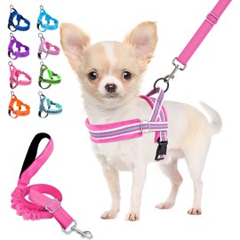 Lukovee No Pull Dog Harness and Leash Set, Soft Padded Small Dog Harness, Neck & Chest Adjustable Reflective Vest Puppy Harness with 4ft Lightweight Anti-Twist Dog Leash for Small Dogs (XXS, Fuschia)