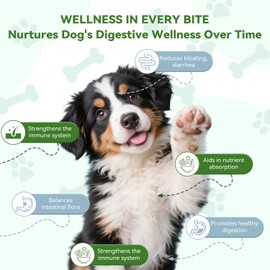 Probiotics for Dogs – 6 Billion CFU with Prebiotics & Digestive Enzymes – Gut, Digestive, Skin & Immune Support – Chicken Flavor Chews – 100 Count