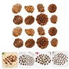 CAXUSD 100pcs Mini Pine Cone Decor Artificial Pine Cones for