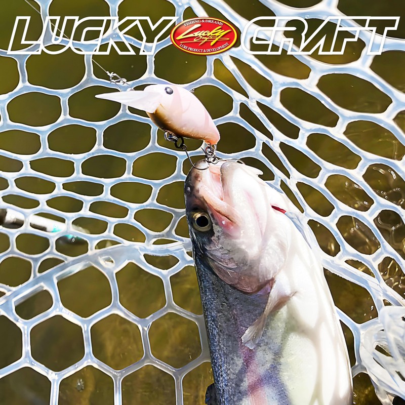 LUCKY CRAFT Deep Klup Mini MAX SS Fishing Lure Crankbait