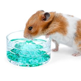 Niteangel Hamster Feeding & Water Bowls - Small Animal Glass Drinking Bowls for Dwarf Syrian Hamsters Gerbils Mice Rats or Other Similar-Sized Small Pets (Green)