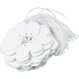 TRUSCO Line Name Tags, Oval Shape, 0.8 x 1.2 inches (20 x 30 mm), Pack of 100 TFF-20 x 30