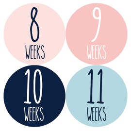 Months In Motion Weekly Pregnancy Growth Stickers | Week to Week Pregnant Expecting Photo Prop | Maternity Keepsake | Baby Bump | Weekly Stickers (Set of 36 Stickers)