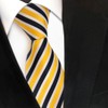 TigerTie Designer Silk Tie in Striped - 8 cm Tie