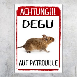 siviwonder Degu auf Patrouille Sign Funny with Saying Door Sign Warning Sign Fun Metal Sign 20 cm x 14 cm x 0.3 cm Aluminium Animal Motif Sign