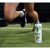 PHX Hydration Energy Drink - 700mg Electrolytes, 200mg Natural Green