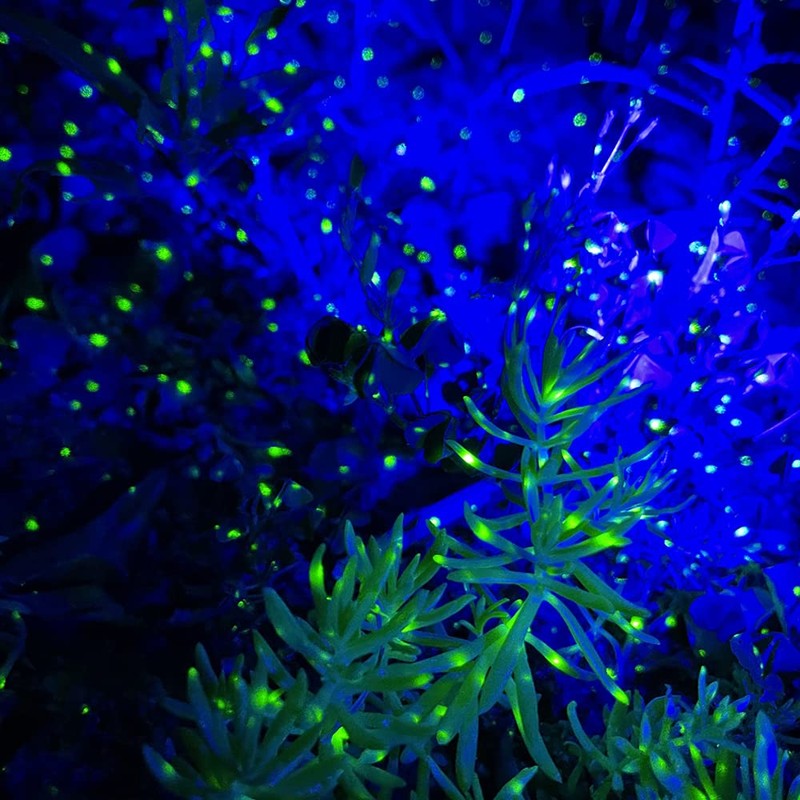 Dalanpa Firefly Garden Lights Star Projector with Blue Nebula Outdoor