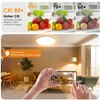 LED Ceiling Light Dimmable with Remote Control 24 W RGB
