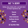 Kar’s Nuts Nut ‘N Berry Trail Mix, 30 oz –