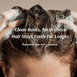 Ailynné Clarifying Shampoo for Oily Hair & Build Up - Deep Cleansing Detox Shampoo with Zinc, Ginger & Seaweed - Removes Oil, Residue & Hard Water Impurities Without Drying - 200ml.
