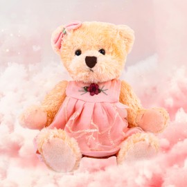 Riverwar Small Teddy Bear Stuffed Animal in a Dress, Cute Soft Plush Toy, Cuddly Gift for Babies, Boys, Girls on Christmas or Valentine's Day (10 inches, Pink Orange Dress)