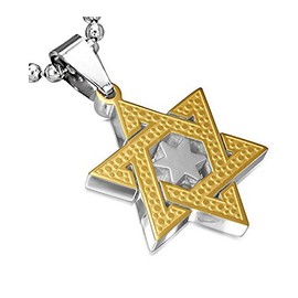 My Daily Styles Stainless Steel Two-Tone Jewish Star of David Charm Pendant Necklace with Chain, 24"