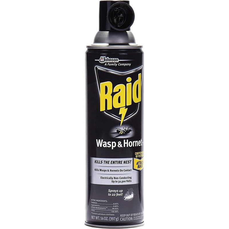 Raid Wasp Hornet Killer Spray (14 Ounce (Pack of 10))