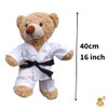 Build Your Own Teddy Bear Craft Kit with Karate Outfit