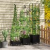 Giantex Rolling Raised Garden Bed with Climbing Trellis, Obelisk &
