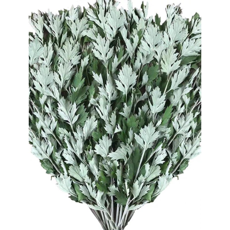 KUSRUP Wild, Three-Year-Old Pure Dried Mugwort Leaves (Stem-Free), Artemisia argyi