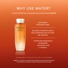 Sulwhasoo Sulwhasoo Concentrated Ginseng Rejuvenating Water- Korean Ginseng & Peptide
