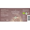 effective nature - Hochdosiertes Cordyceps-sinensis Pilz Pulver - 90 vegane