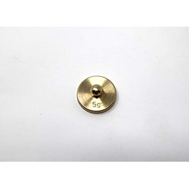 WISSNER Active Learning - Weight Brass 10 g