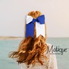 Two Tone Jumbo Bow Clip with Tails (Blue & White)