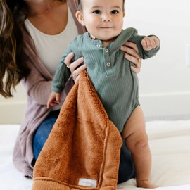 SARANONI Security Blankets for Babies Super Soft Boutique Quality Lush Luxury Baby Blanket (Mini 15" x 20", Ballet Slipper Pink)