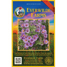 Everwilde Farms - 1 Oz New England Aster Native Wildflower Seeds - Gold Vault