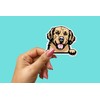 Golden Retriever Peeking Paws Sticker (2 Pack) 4” x 3.5”