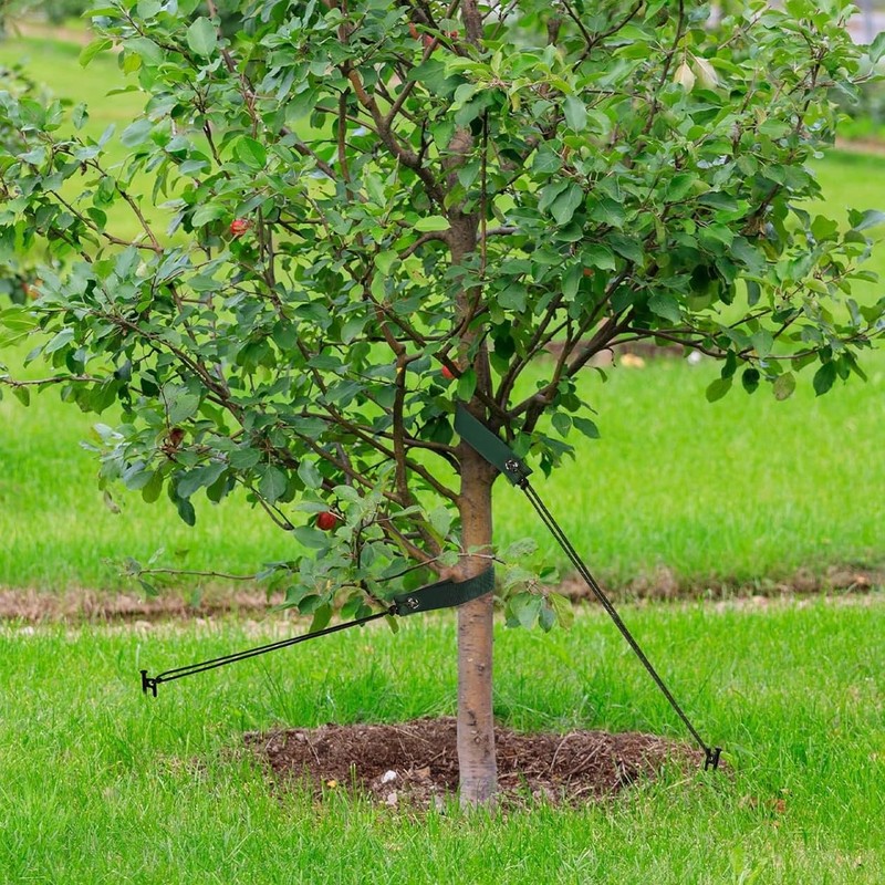 Heavy Duty Tree Stake Kit,11.8" Steel Stakes for Young Trees,
