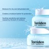 Torriden DIVE IN Low Molecular Hyaluronic Acid Soothing Cream 100ml