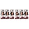 CoSaMo Hair Color #765 Medium Brown - Compares to Clairol Loving Care (6 Pack)
