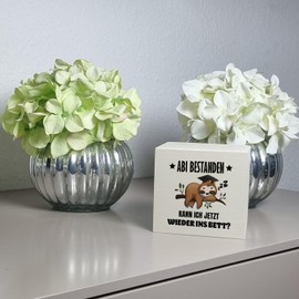 Abi Passed Sloth Money Box Made of Wood with Saying Back to Bed Graduation Gift Graduation Gift Graduation Sloth Style Lazy After Exam School Over TV Relax