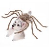 bogbago Disfraz de araña para Perro, Divertido Disfraz para Perro