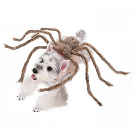 bogbago Disfraz de araña para Perro, Divertido Disfraz para Perro Halloween, Ropa de Mascota para Gato y Cachorro Pequeño Marrón